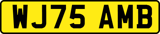 WJ75AMB
