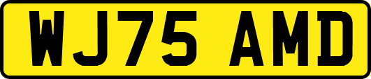 WJ75AMD