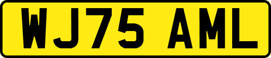WJ75AML