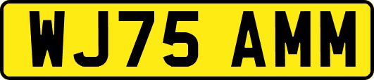 WJ75AMM