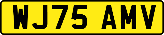 WJ75AMV