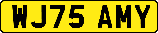 WJ75AMY