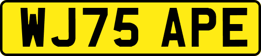 WJ75APE