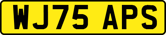 WJ75APS