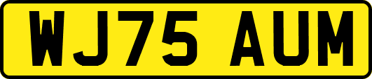 WJ75AUM