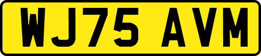 WJ75AVM