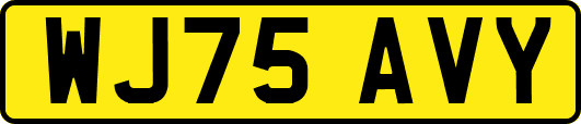 WJ75AVY
