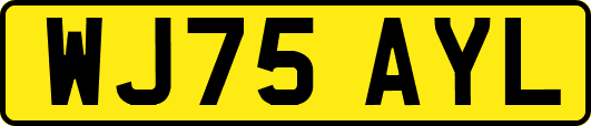 WJ75AYL