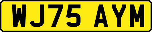 WJ75AYM
