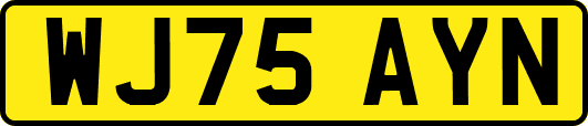 WJ75AYN