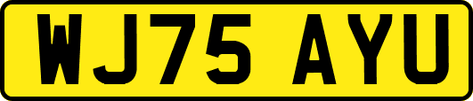 WJ75AYU