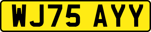 WJ75AYY
