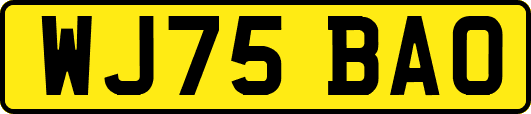 WJ75BAO