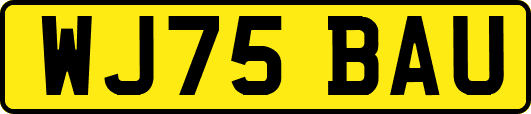 WJ75BAU