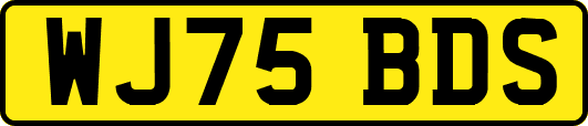 WJ75BDS