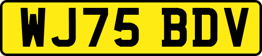 WJ75BDV