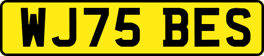 WJ75BES
