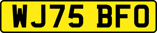 WJ75BFO