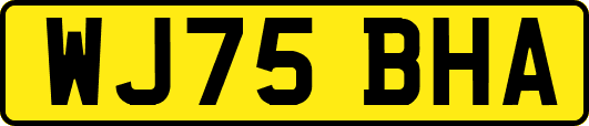 WJ75BHA