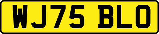 WJ75BLO