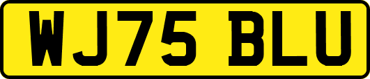 WJ75BLU