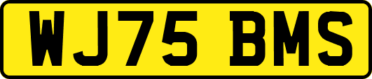 WJ75BMS