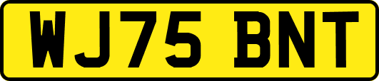 WJ75BNT