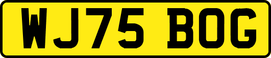 WJ75BOG