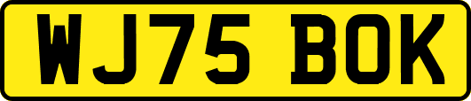 WJ75BOK