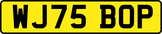 WJ75BOP