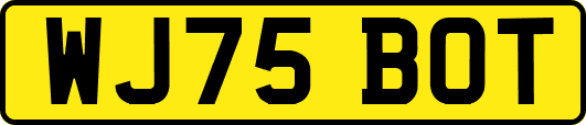 WJ75BOT