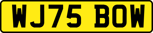 WJ75BOW