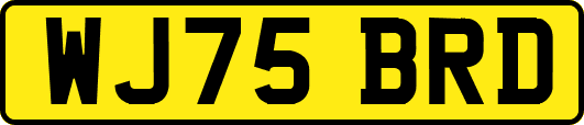 WJ75BRD