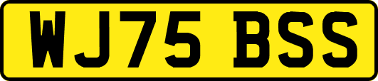 WJ75BSS