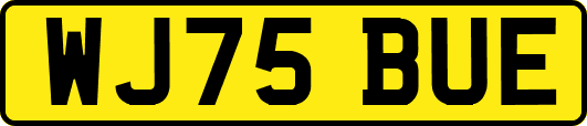 WJ75BUE