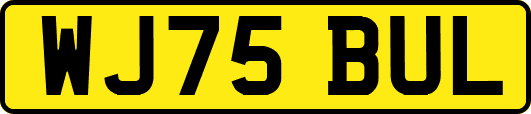 WJ75BUL