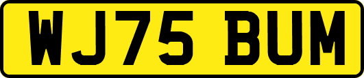 WJ75BUM