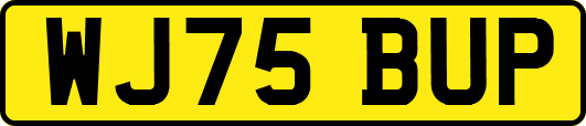 WJ75BUP