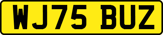 WJ75BUZ