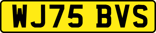 WJ75BVS