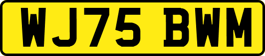 WJ75BWM