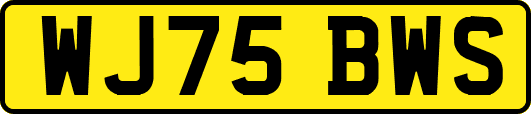 WJ75BWS