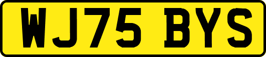 WJ75BYS