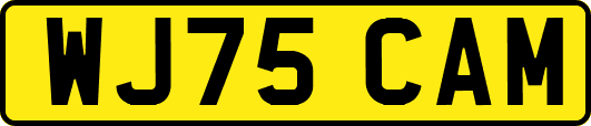 WJ75CAM