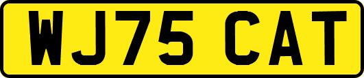 WJ75CAT