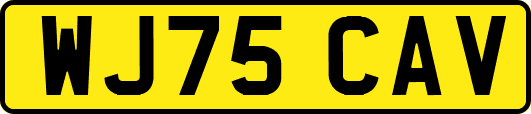 WJ75CAV
