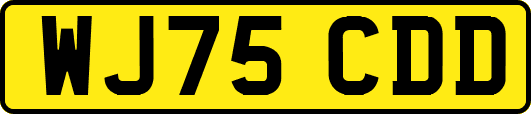 WJ75CDD
