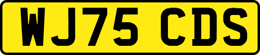 WJ75CDS