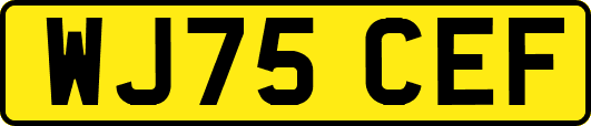 WJ75CEF