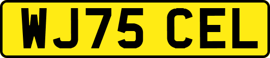 WJ75CEL